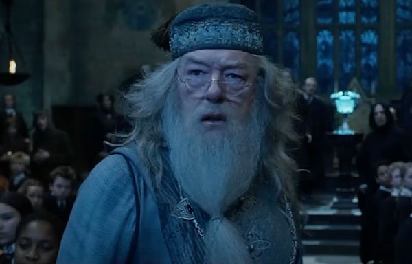 ... Reminiscing Over The Time That Dumbledore...Spat In My Face': A Harry Potter Actress Did Not ...