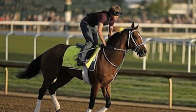 Arkansas football coach Sam Pittman will attend Kentucky Derby as guest of Mystik Dan owners