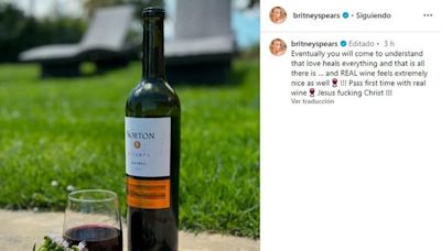 “Brindispiers”: Britney se tomó un Norton y causó furor