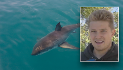 California surfer survives encounter with shark who displayed ‘aggressive’ behavior