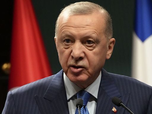 Erdoğan accuses social media of 'digital fascism' after Turkey blocks Instagram