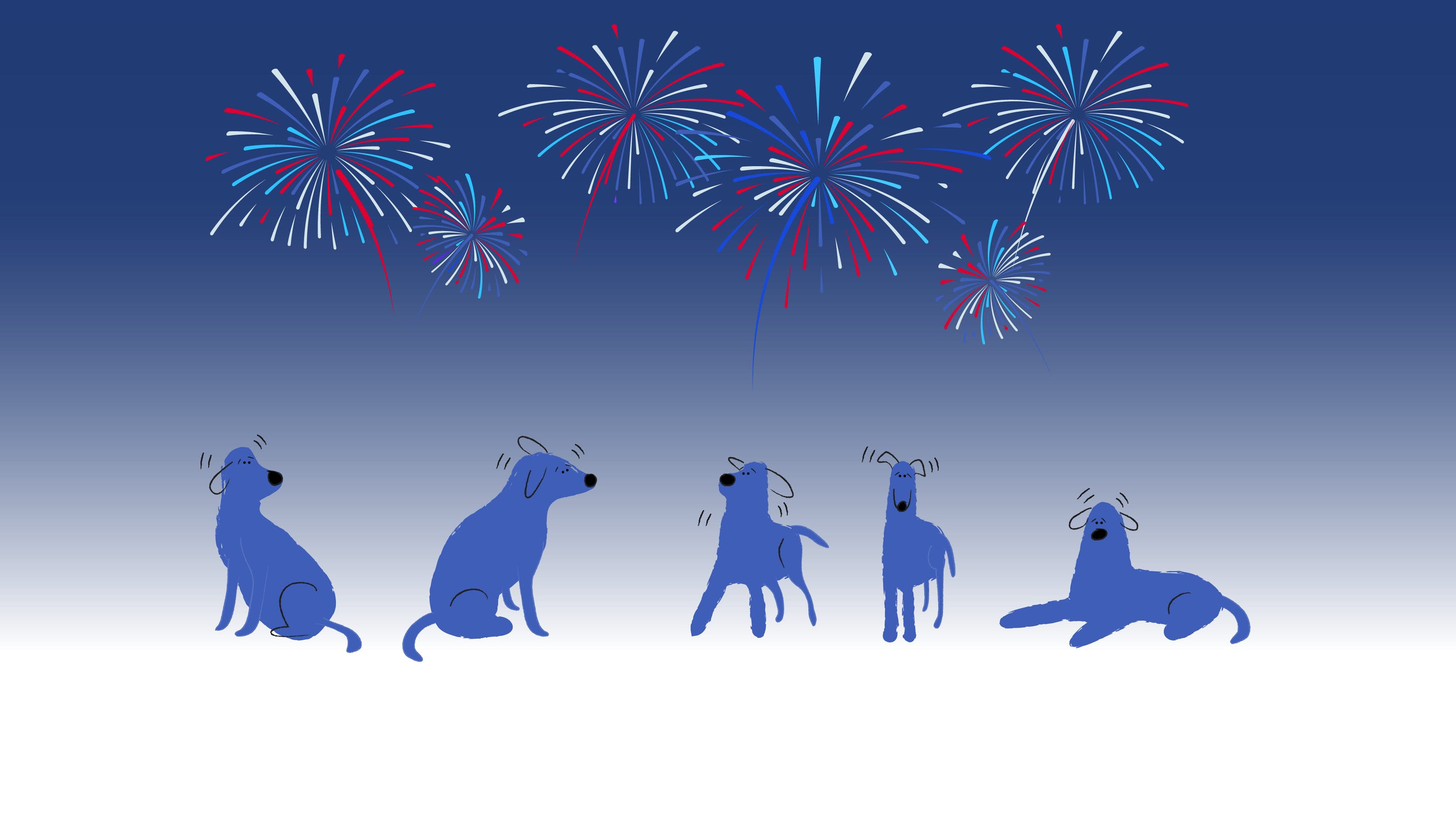 How to keep your pets calm during Fourth of July fireworks