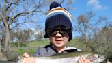 Bacher: New steelhead run record set on the Mokelumne River