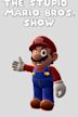 The Stupid Mario Bros. Show