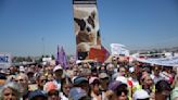 土耳其數千人為400萬隻流浪狗請命 怒嗆政府撲殺毛小孩提案