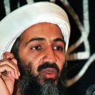 Osama bin Laden