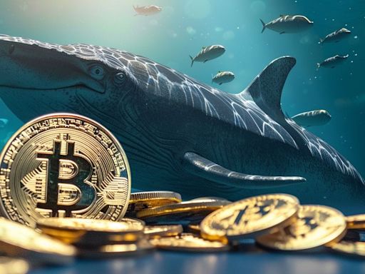 Blockchain Data: Bitcoin Whale Activity Surging, Confidence in Bull Market Returning