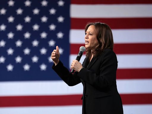 "Childless Cat Lady, Brat": Media Attacks On Kamala Harris Follow A Bleak Pattern