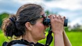 In Cornwall, newly conserved grasslands are for the birds