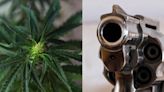 ...2nd Amendment, Meet The ATF: If You Say 'Yes' To Medical Marijuana, The Answer To Owning A Gun Is 'No'