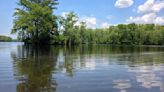 Plan guides expansion for Roanoke River refuge
