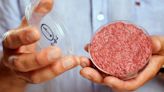 Por qué los estados están convirtiendo en delito la venta de carne cultivada en laboratorio