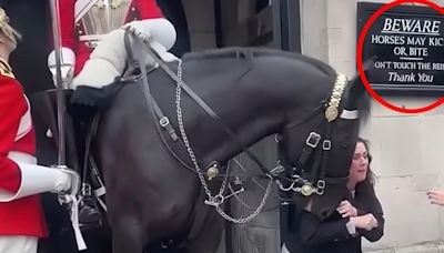 Woman is Bitten by King's Guard Horse in London While Posing for Photo
