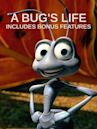 A Bug's Life