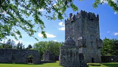 Help us uncover County Galway castle’s history – OPW appeals for public assistance