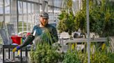 ‘It’s going to be hot’: Maryland cannabis firms stockpile and staff up for big demand starting Saturday