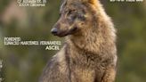 La necesidad de que venga el lobo y Apis beneficiaria del Perte de descarbonización