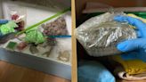 Man arrested after CNB seize nearly 5kg of drugs worth $182,000 at his home