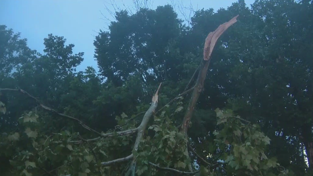 EF-1 tornado damages buildings, shreds trees in New Castle County; Chester County pounded by heavy rain