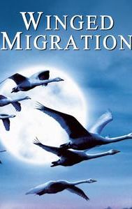 Winged Migration