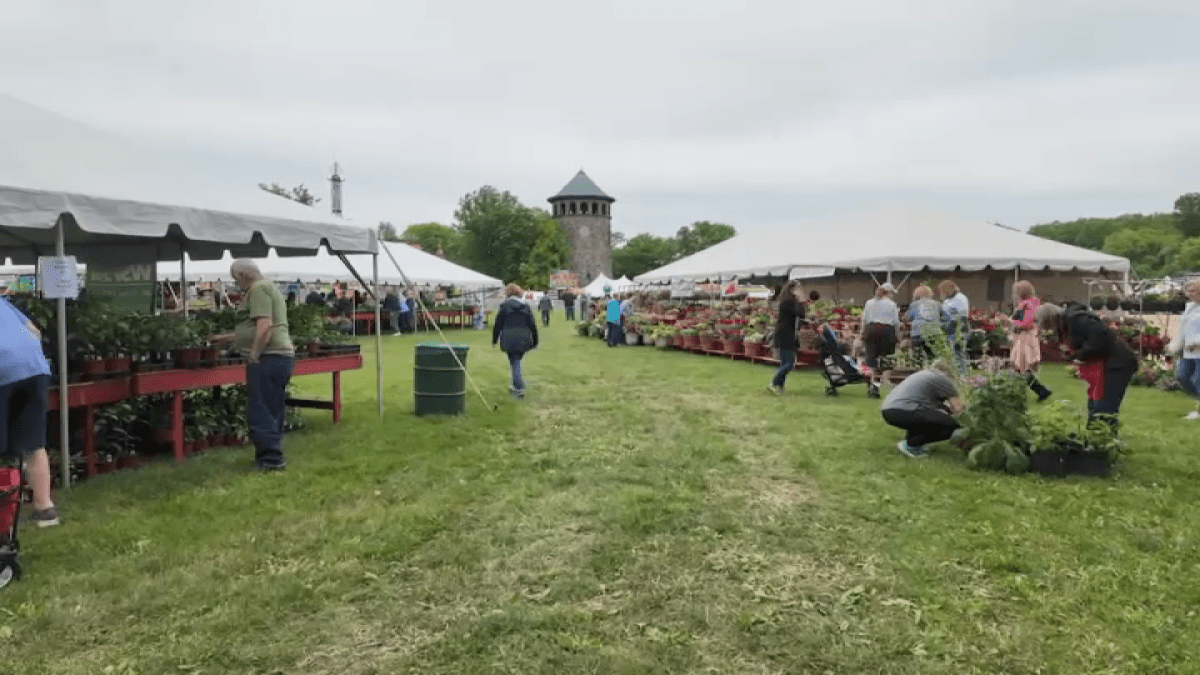 Enjoy delicious food, entertainment and vibrant flowers at the 2024 Wilmington Flower Market