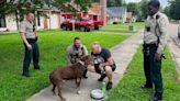 Dog taken during carjacking in Memphis found by Shelby County deputies, reunited with family