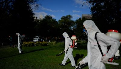 Dengue is sweeping through the Americas early this year