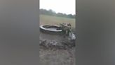 Baby elephant rescued from water trough in Kenya after becoming trapped