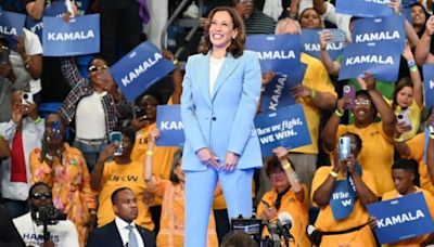 DNC to kick off virtual roll call vote to formally nominate Kamala Harris for president