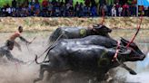 Thai buffalo race marks start of rice growing season