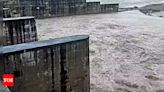 Focus on Hathnikund-Okhla Barrage stretch for floodplain demarcation | Delhi News - Times of India