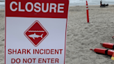 Shark bites swimmer in Del Mar, beaches closed