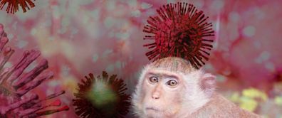 Moderna mpox mRNA vaccine shows early promise in monkey study