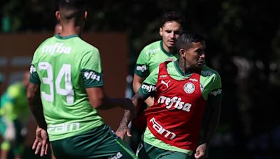 Com retorno de ídolo, Palmeiras fará jogo-treino na Academia de Futebol - Lance!