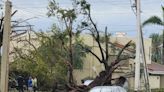 Tormentas se alejan del sur de Florida. Confirman que tornado azotó al Condado Palm Beach