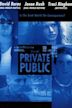 The Private Public