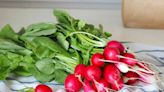 The Right Way to Store Radishes and Their Greens