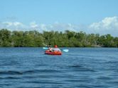 Estero Bay (Florida)