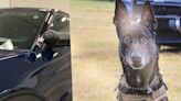 Harming, killing police dog will soon be felony in KS thanks to Bane’s Law