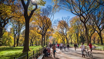 Fin de semana de temperaturas agradables para disfrutar del otoño en Nueva York