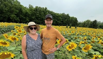 Christmas tree farm in Chatham-Kent making 'sunny memories' in July