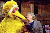 Big Bird