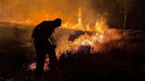 Brasil registra un récord de incendios forestales entre enero y abril