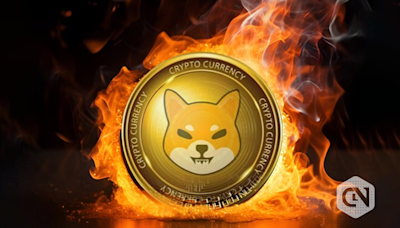 Shiba Inu burn rate skyrockets 200% despite price fluctuations