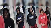 Chicago Police Seek Public's Help in Identifying Suspects in Red Line Train Robbery