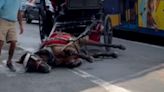 Carriage horse who collapsed on New York City street has died