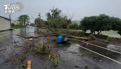 中彰連日豪雨！黃花風鈴木倒塌 郵差遭重壓搶救不治│TVBS新聞網