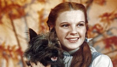 The Veggie-Packed Salad Judy Garland Ate All The Time