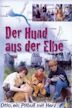 Der Hund aus der Elbe