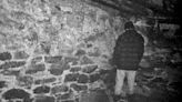 Original The Blair Witch Project Cast Asks For Retroactive Residuals, Consultation on Future Projects